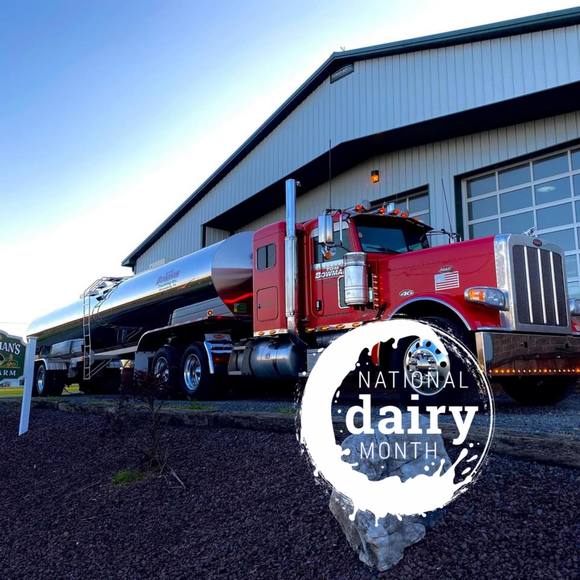 Meet your Posher, Seth - Picture 1 of 1